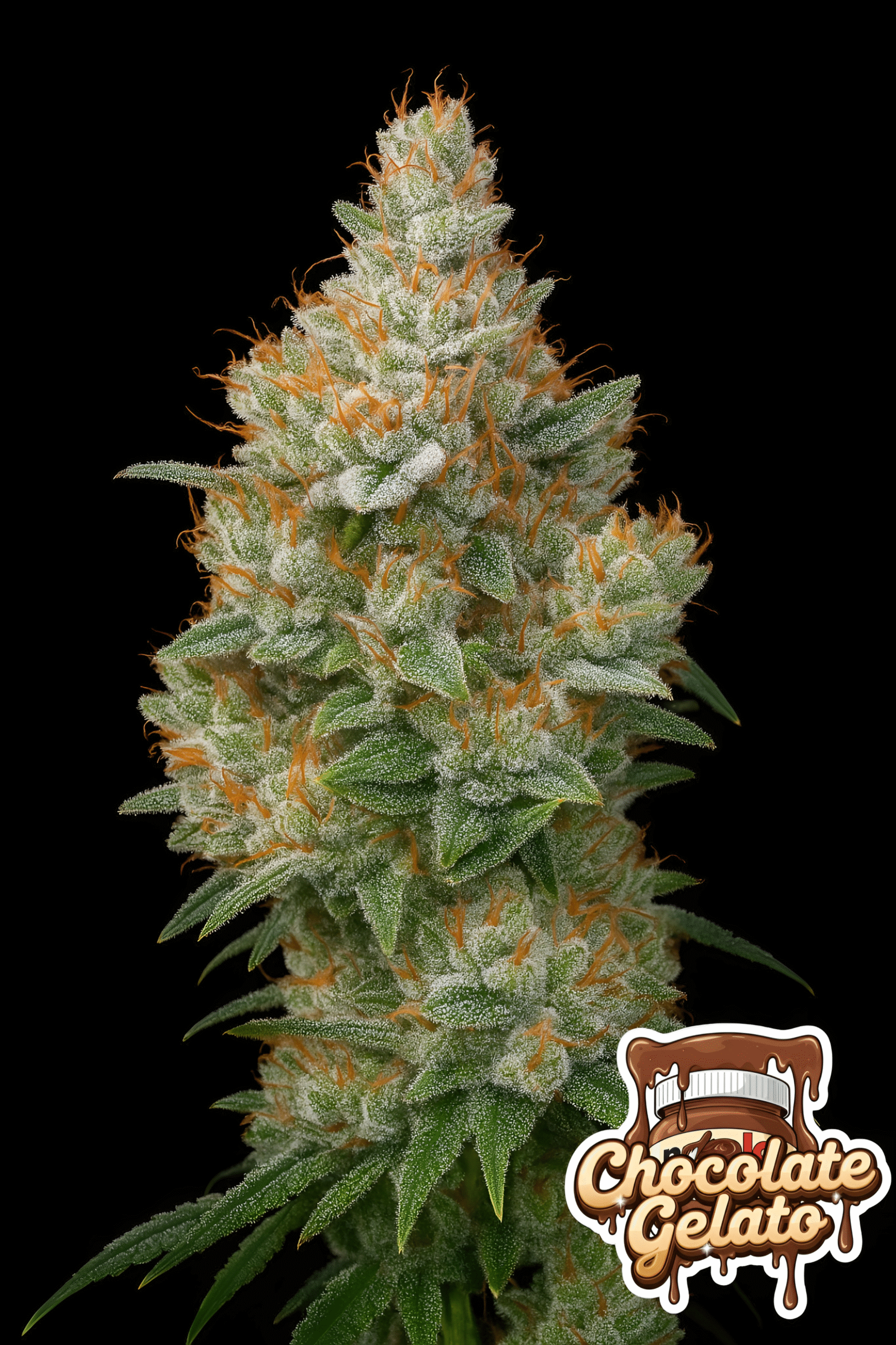 Picsart_25-11-08_05-56-42-770